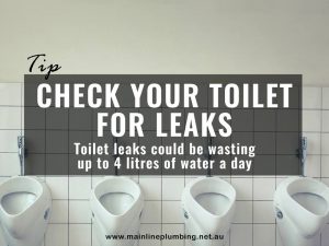Toilet leaks