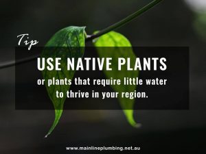 Water saving tips