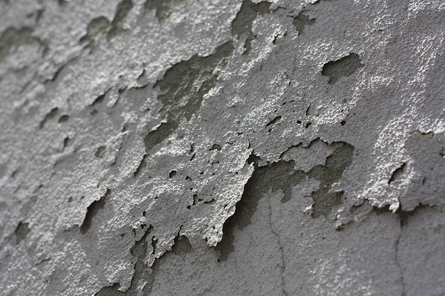 paint