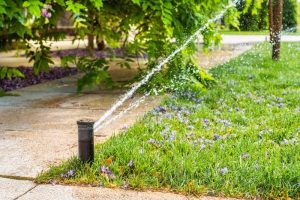 Sprinkler for watering grass
